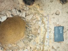 -南越王博物院(王宫展区)