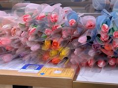 -上海第一八佰伴