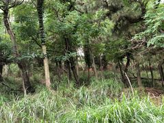 -刘公岛景区