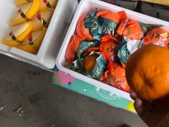 -上海龙吴水胜海发市场