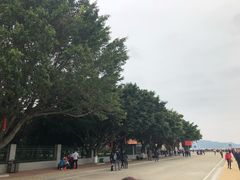 -南沙天后宫景区