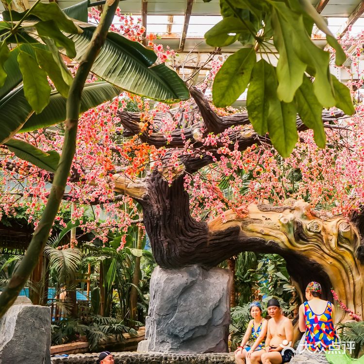 新疆温泉县芭提雅圣境去，新疆享泡汤之乐