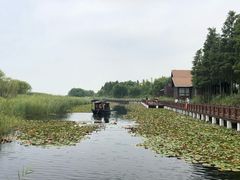 -太湖湖滨国家湿地公园-停车场