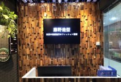 点击看大图 -藤野造型