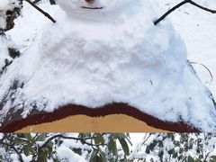 -瓦屋山景区