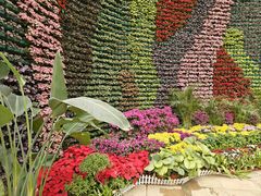 -石家庄市植物园