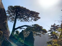-黄山风景区