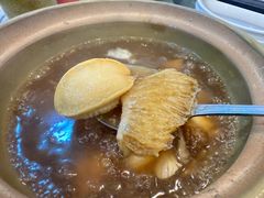 -大中鱼翅 Taitong Shark Fin