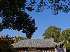 -范蠡湖公园