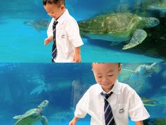 -海合安成都极地海洋公园