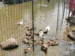 -前小桔亲子创意农场·草莓采摘·露营烧烤