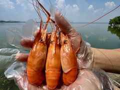 -蟹天蟹地农家菜·阳澄湖大闸蟹(浅水湾店)