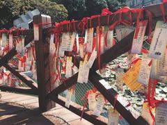 -广东仲元中学