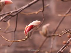 -东华门大街小区