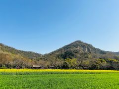 -八卦田遗址公园