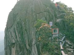 -狮子山郊野公园