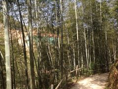 竹海-千泷沟大瀑布旅游区