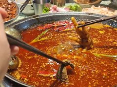 -五里关火锅(牛市口店)