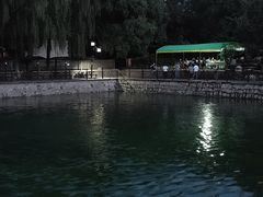 -尚庄度假村·庭台树下·户外烧烤·团建CS·轰趴营地(上庄水库店)