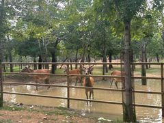 -秦皇岛野生动物园