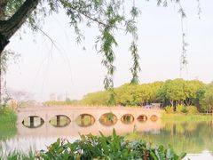 -昆山城市生态森林公园