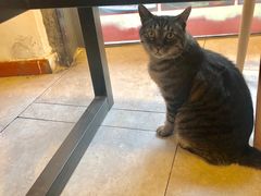 -螺大蛳柳州螺蛳粉·火锅·热干面(西城永捷店)