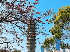 -南普陀寺