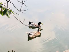 -白马涧龙池景区