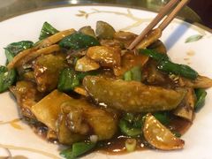-石老头关东饺子王·东北菜(嘉华鑫城店)