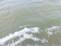 -日照灯塔风景区