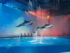 -上海海昌海洋公园
