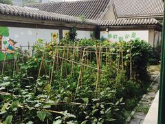 -北京第二实验小学