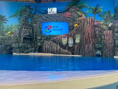 -珠海长隆海洋王国