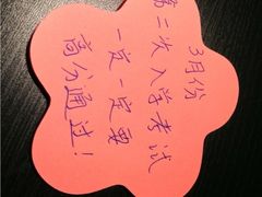 -中山大学学者灵芝(园南路店)