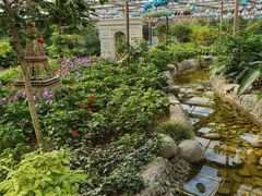 -南宫五洲植物乐园