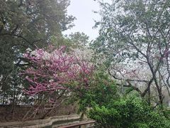 -赭山公园
