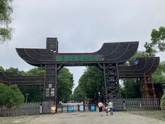 -溱湖国家湿地公园