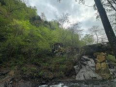 -凤凰山国家森林公园