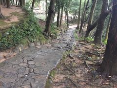 -南漈山
