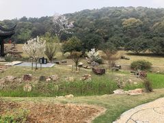 -龙寺生态园