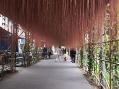 -润记农家菜