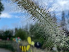 -前小桔亲子创意农场·草莓采摘·露营烧烤