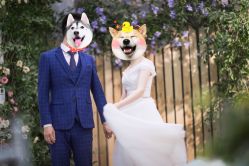 点击看大图 -THE QUEEN(北京店)