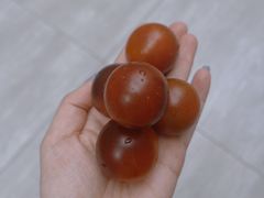 -Dole都乐水果直营
