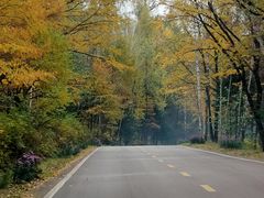 -五营红松林海景区