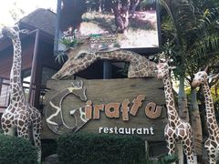 -清迈夜间动物园