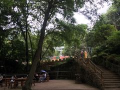 -木兰云雾山