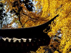 -郑和公园