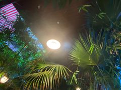 -大鹅岛绿色生态美食园