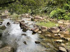 -广州白江湖森林公园